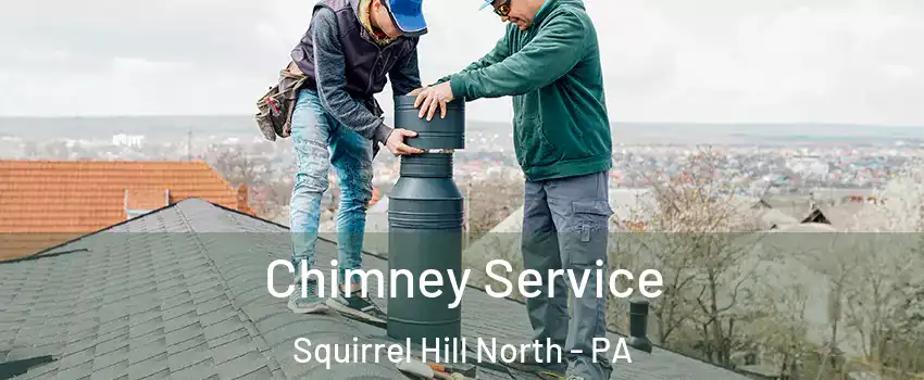 Chimney Service Squirrel Hill North - PA