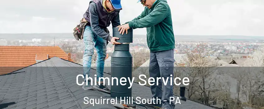 Chimney Service Squirrel Hill South - PA