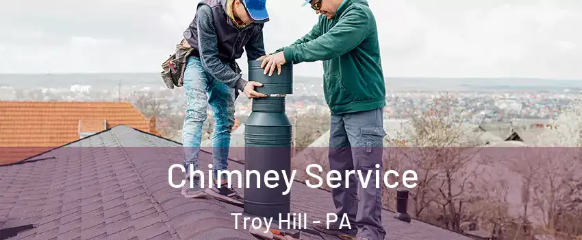 Chimney Service Troy Hill - PA
