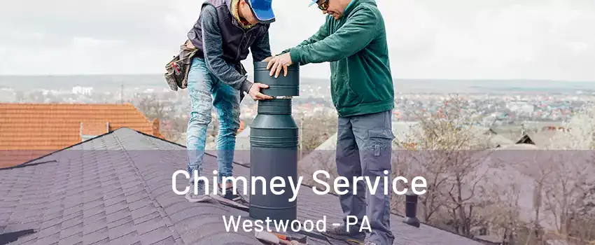Chimney Service Westwood - PA