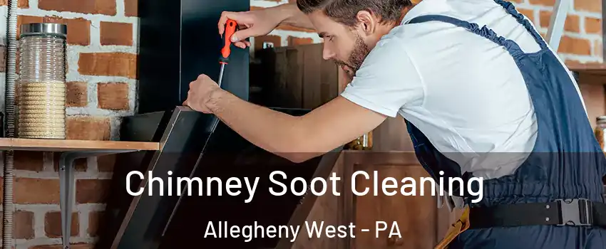 Chimney Soot Cleaning Allegheny West - PA