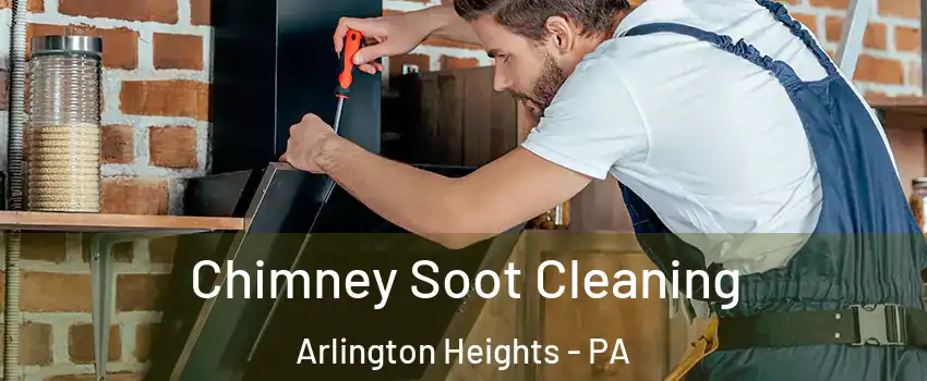 Chimney Soot Cleaning Arlington Heights - PA