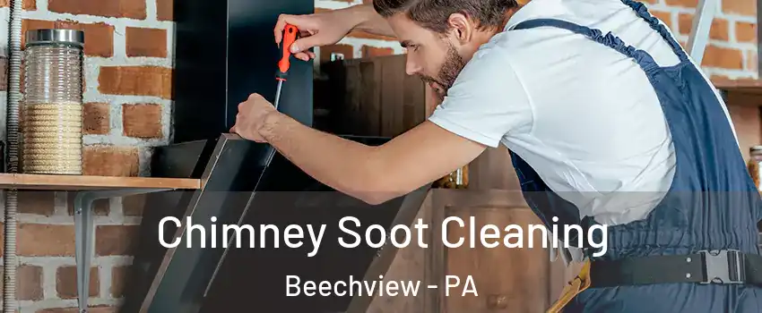 Chimney Soot Cleaning Beechview - PA