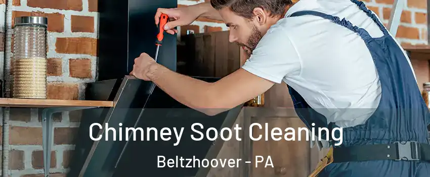 Chimney Soot Cleaning Beltzhoover - PA