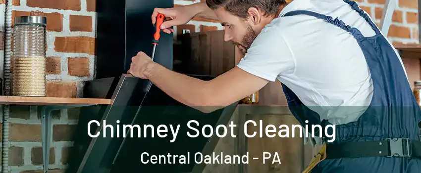 Chimney Soot Cleaning Central Oakland - PA