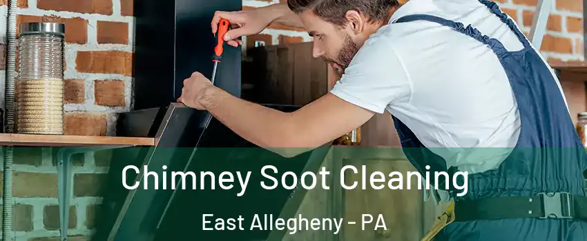 Chimney Soot Cleaning East Allegheny - PA