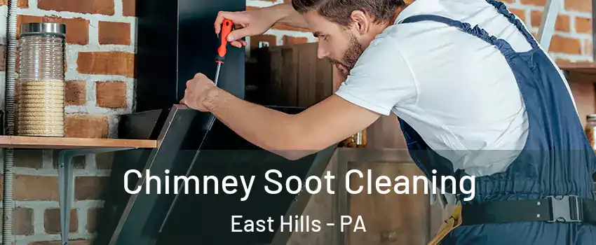 Chimney Soot Cleaning East Hills - PA