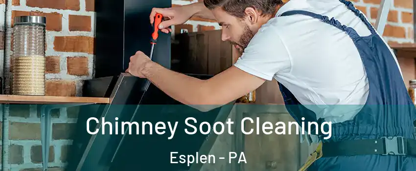 Chimney Soot Cleaning Esplen - PA