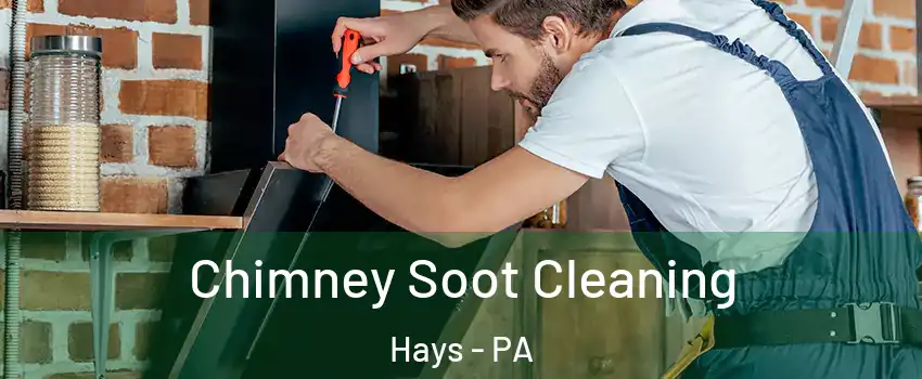 Chimney Soot Cleaning Hays - PA