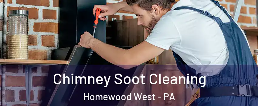 Chimney Soot Cleaning Homewood West - PA