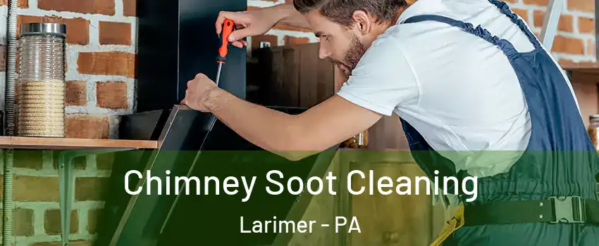 Chimney Soot Cleaning Larimer - PA