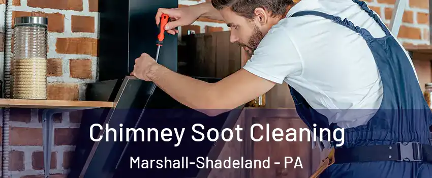 Chimney Soot Cleaning Marshall-Shadeland - PA