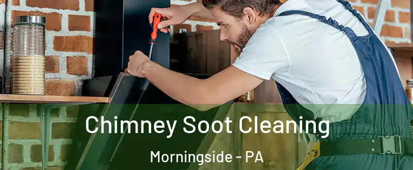 Chimney Soot Cleaning Morningside - PA