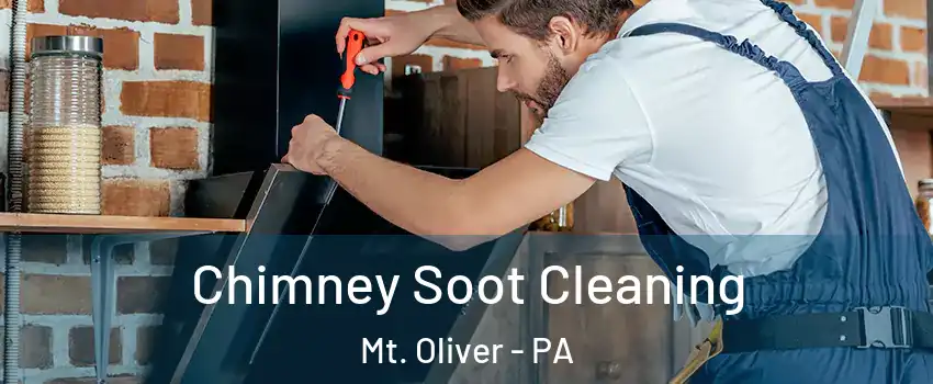 Chimney Soot Cleaning Mt. Oliver - PA