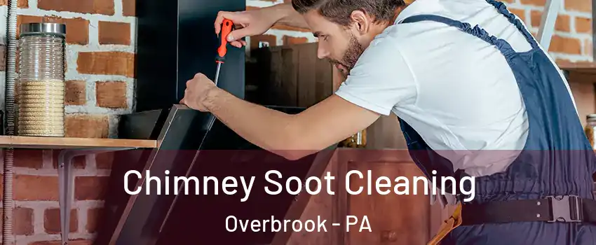 Chimney Soot Cleaning Overbrook - PA