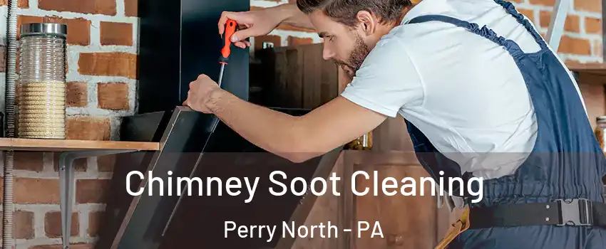 Chimney Soot Cleaning Perry North - PA