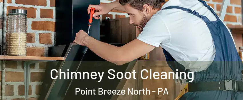 Chimney Soot Cleaning Point Breeze North - PA