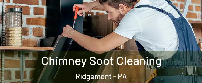 Chimney Soot Cleaning Ridgemont - PA