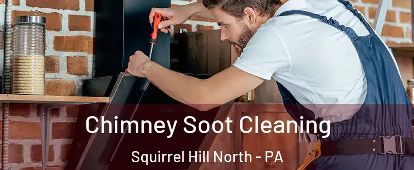 Chimney Soot Cleaning Squirrel Hill North - PA