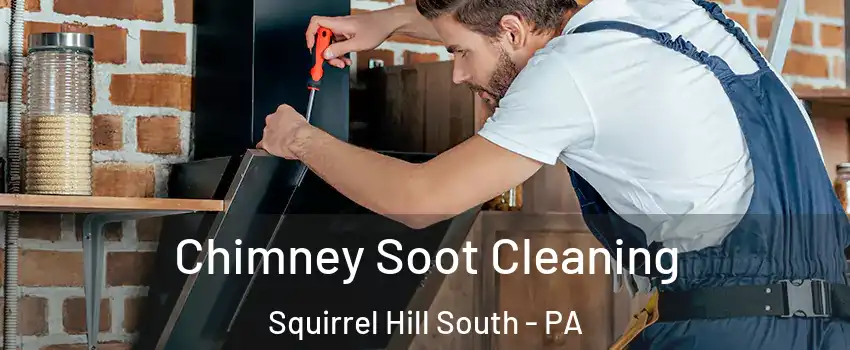 Chimney Soot Cleaning Squirrel Hill South - PA