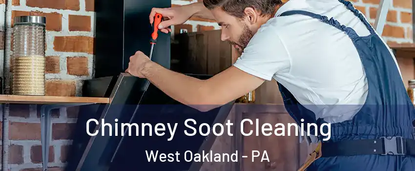 Chimney Soot Cleaning West Oakland - PA