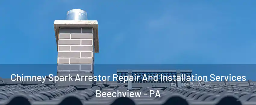 Chimney Spark Arrestor Repair And Installation Services Beechview - PA