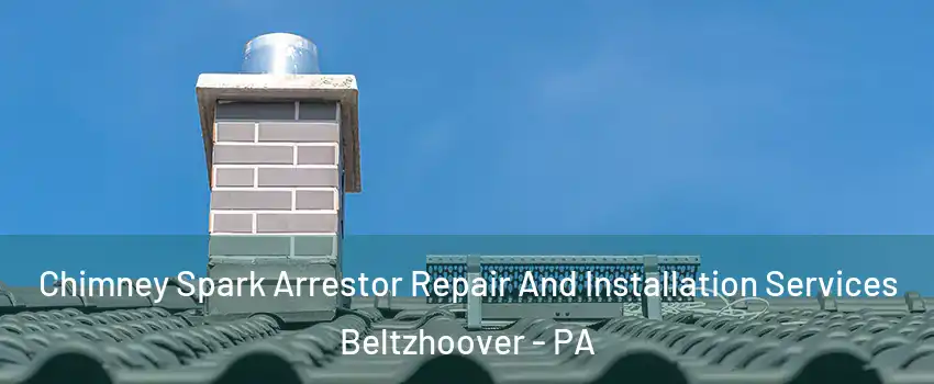 Chimney Spark Arrestor Repair And Installation Services Beltzhoover - PA
