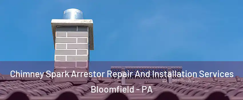Chimney Spark Arrestor Repair And Installation Services Bloomfield - PA