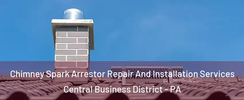 Chimney Spark Arrestor Repair And Installation Services Central Business District - PA