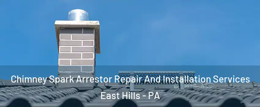 Chimney Spark Arrestor Repair And Installation Services East Hills - PA