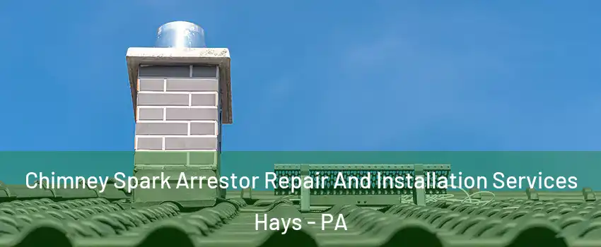 Chimney Spark Arrestor Repair And Installation Services Hays - PA