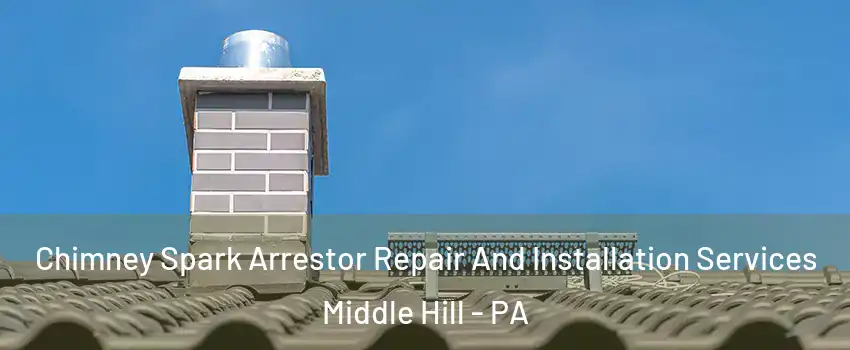 Chimney Spark Arrestor Repair And Installation Services Middle Hill - PA