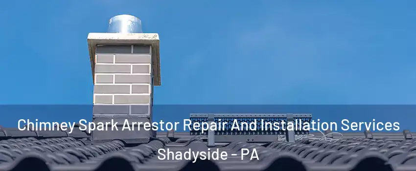 Chimney Spark Arrestor Repair And Installation Services Shadyside - PA