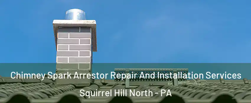 Chimney Spark Arrestor Repair And Installation Services Squirrel Hill North - PA