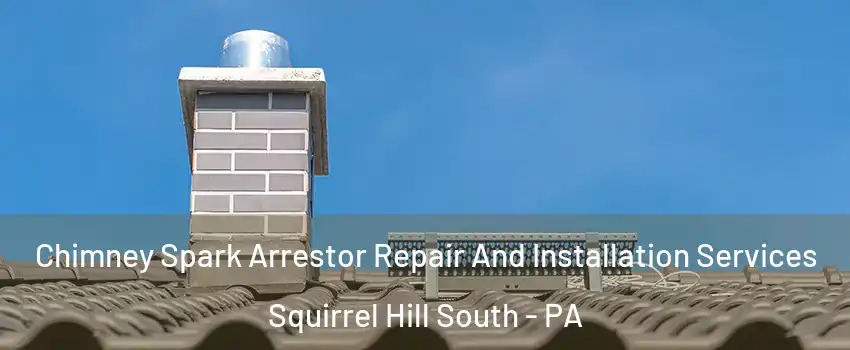 Chimney Spark Arrestor Repair And Installation Services Squirrel Hill South - PA