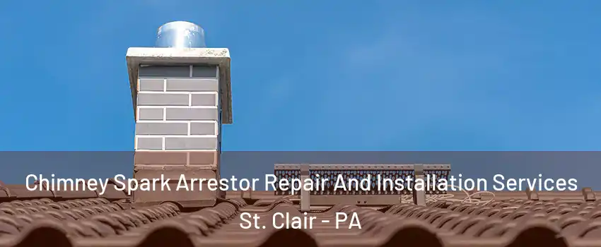 Chimney Spark Arrestor Repair And Installation Services St. Clair - PA