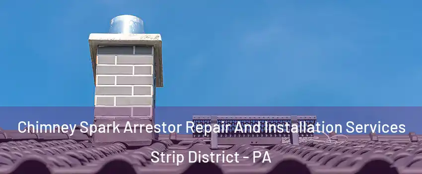 Chimney Spark Arrestor Repair And Installation Services Strip District - PA