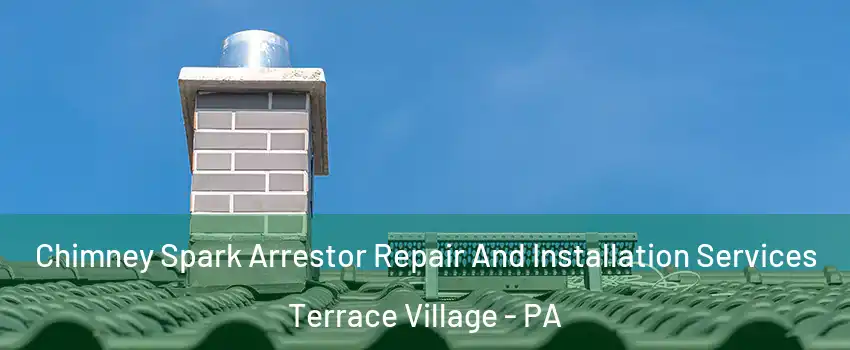 Chimney Spark Arrestor Repair And Installation Services Terrace Village - PA