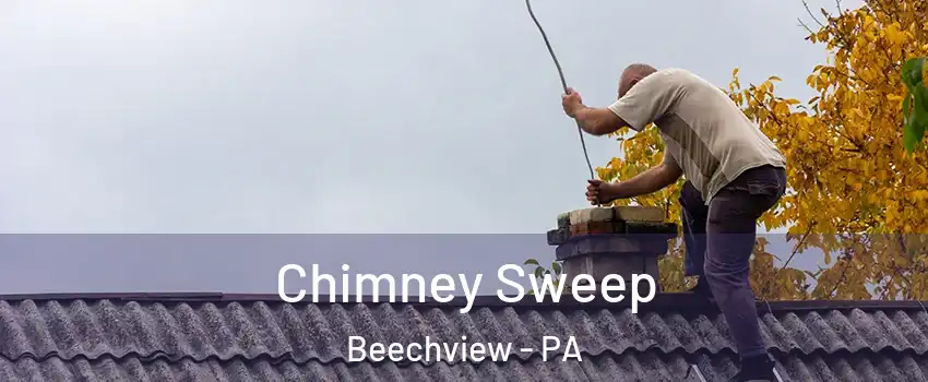 Chimney Sweep Beechview - PA