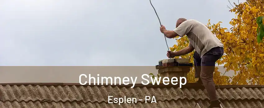 Chimney Sweep Esplen - PA