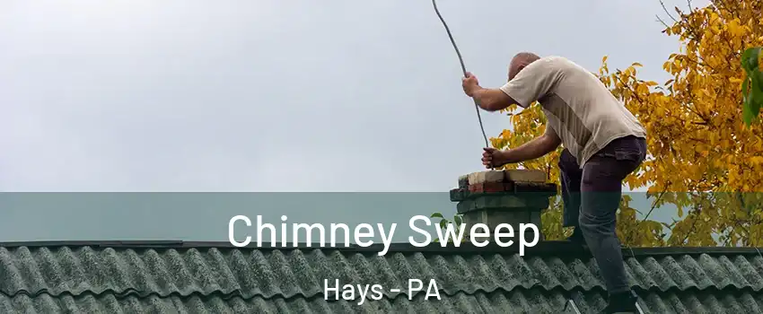 Chimney Sweep Hays - PA