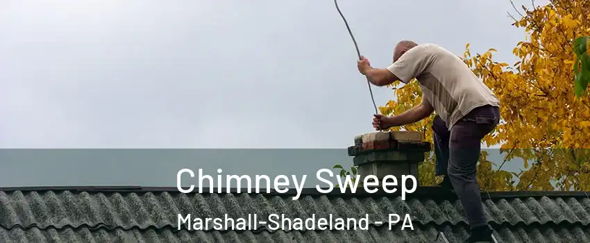 Chimney Sweep Marshall-Shadeland - PA