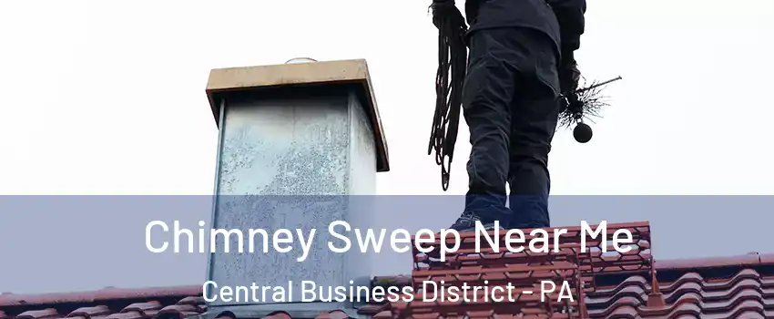 Chimney Sweep Near Me Central Business District - PA