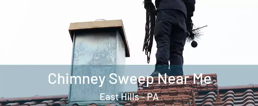 Chimney Sweep Near Me East Hills - PA