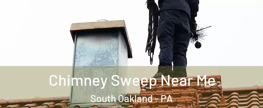 Chimney Sweep Near Me South Oakland - PA