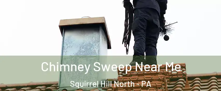 Chimney Sweep Near Me Squirrel Hill North - PA
