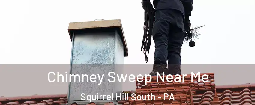 Chimney Sweep Near Me Squirrel Hill South - PA