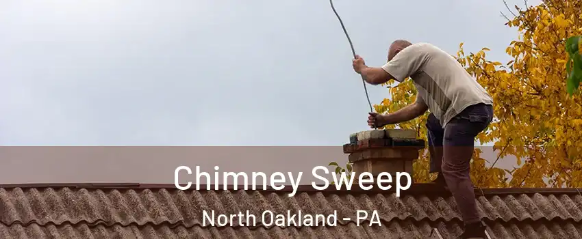 Chimney Sweep North Oakland - PA