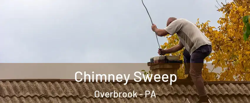 Chimney Sweep Overbrook - PA
