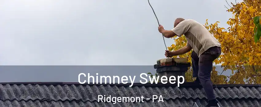 Chimney Sweep Ridgemont - PA